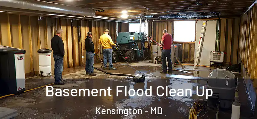  Basement Flood Clean Up Kensington - MD