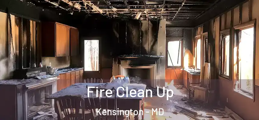  Fire Clean Up Kensington - MD