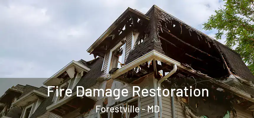 Fire Damage Restoration Forestville - MD