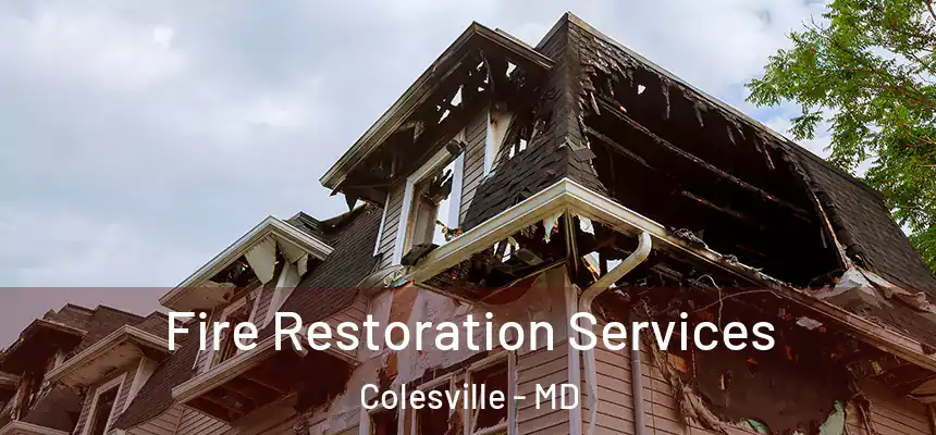  Fire Restoration Services Colesville - MD