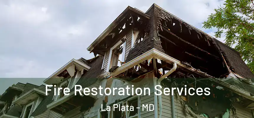 Fire Restoration Services La Plata - MD