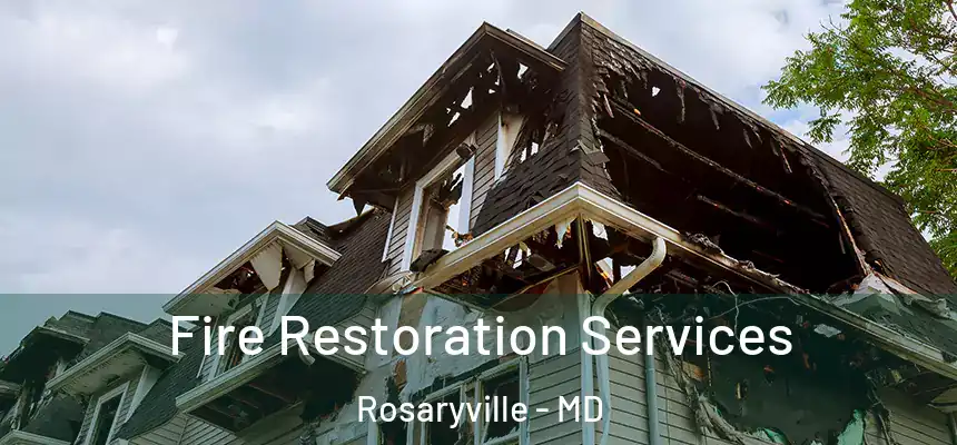 Fire Restoration Services Rosaryville - MD