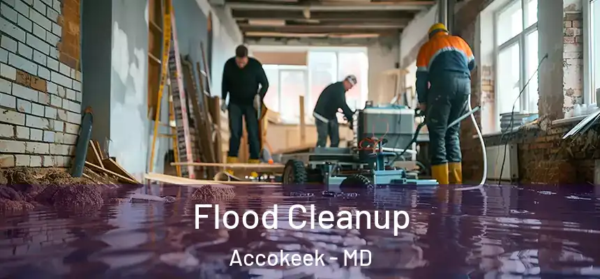  Flood Cleanup Accokeek - MD