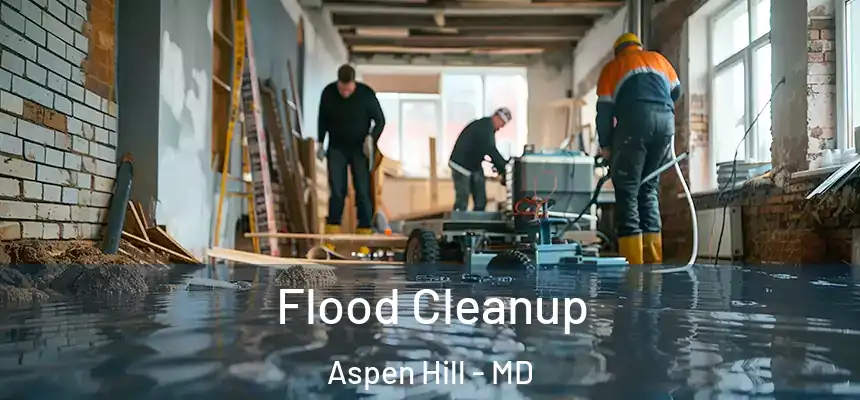  Flood Cleanup Aspen Hill - MD