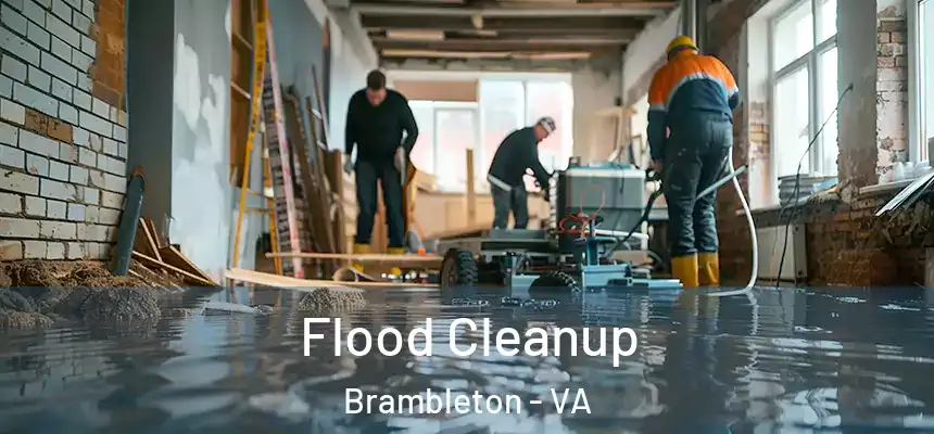  Flood Cleanup Brambleton - VA