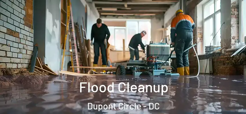  Flood Cleanup Dupont Circle - DC