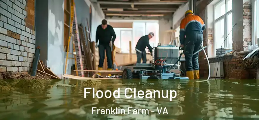 Flood Cleanup Franklin Farm - VA