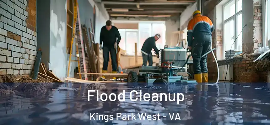 Flood Cleanup Kings Park West - VA