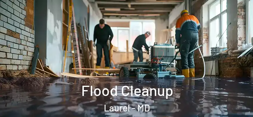  Flood Cleanup Laurel - MD