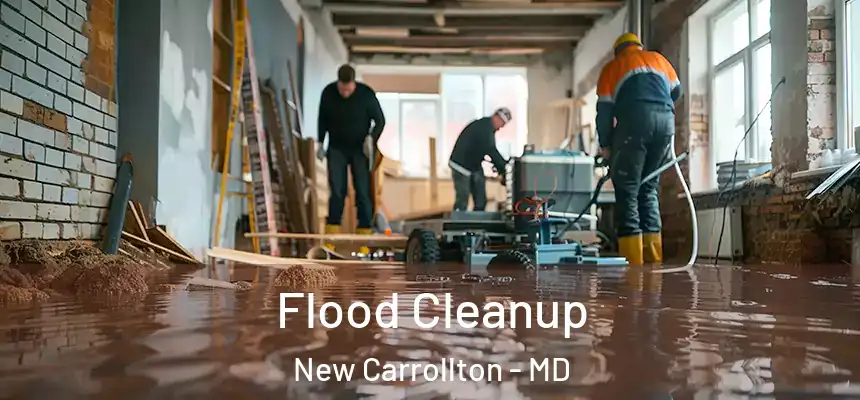 Flood Cleanup New Carrollton - MD
