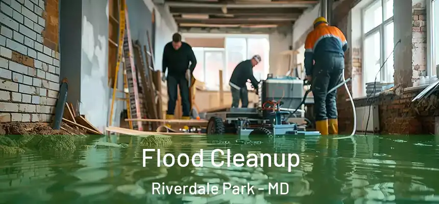  Flood Cleanup Riverdale Park - MD