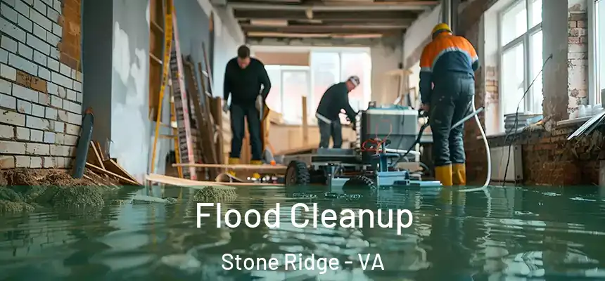 Flood Cleanup Stone Ridge - VA