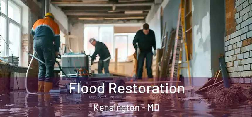  Flood Restoration Kensington - MD