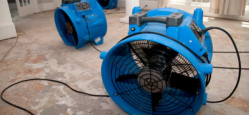 Sewage Removal Services in Chantilly