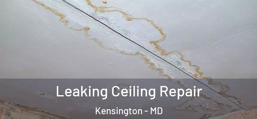  Leaking Ceiling Repair Kensington - MD