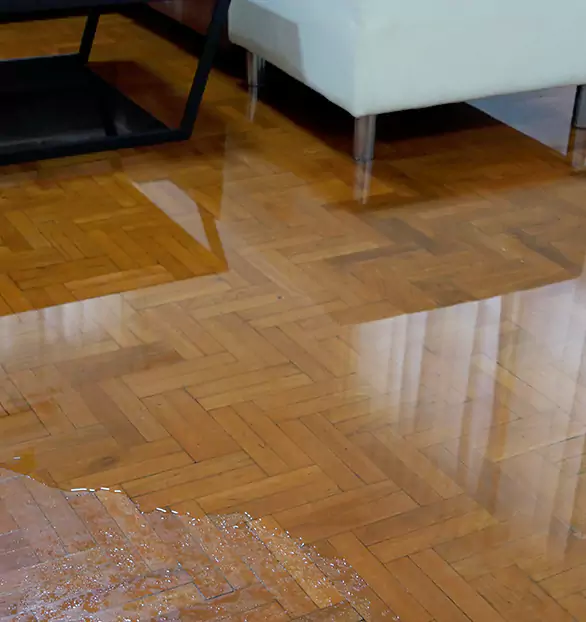 Trusted Emergency Water Restoration Company in Adelphi, MD