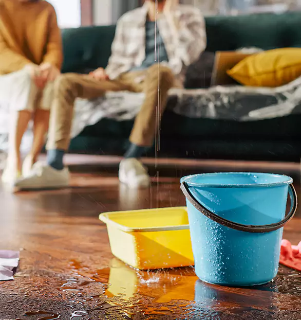 Reliable Water Mitigation Company in Capitol Hill, DC