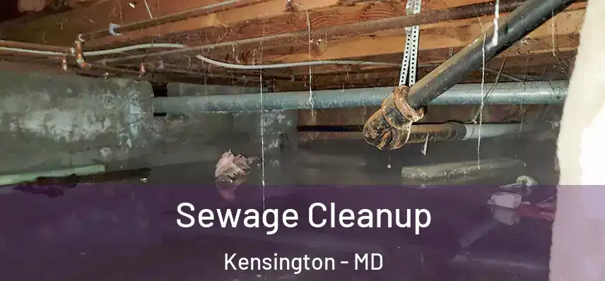  Sewage Cleanup Kensington - MD