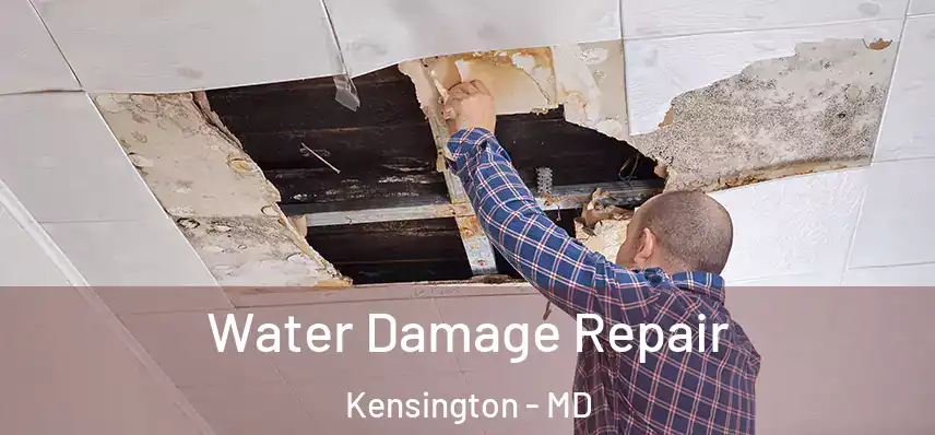  Water Damage Repair Kensington - MD