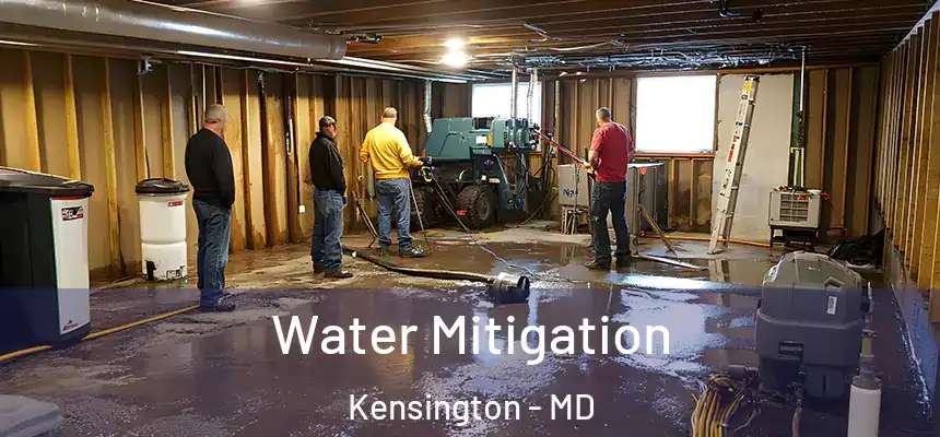  Water Mitigation Kensington - MD