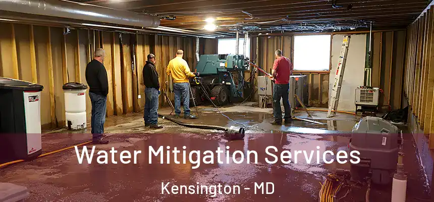  Water Mitigation Services Kensington - MD