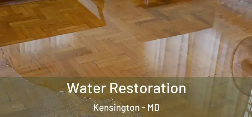 Water Restoration Kensington - MD